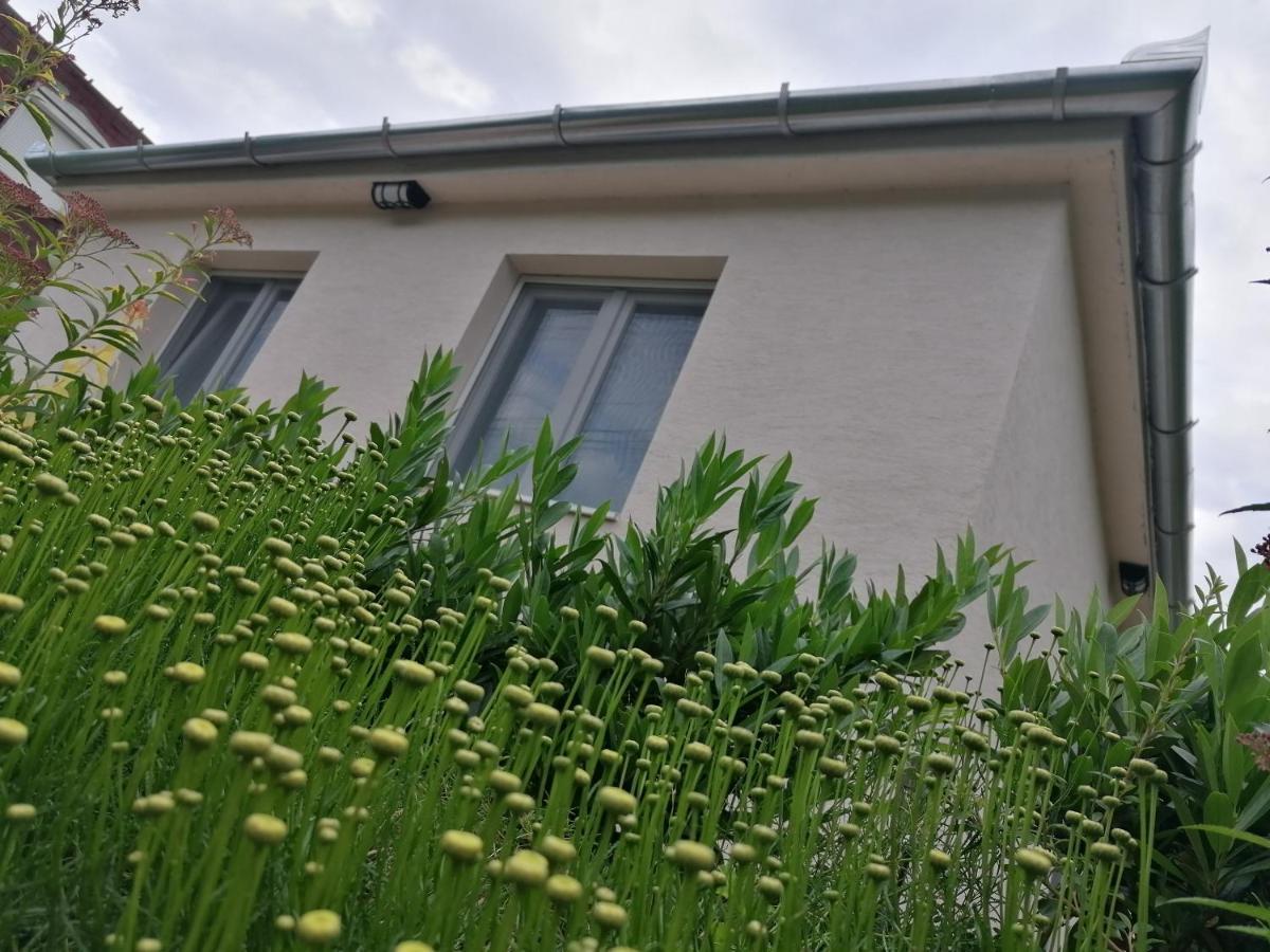 Levelke Mini Apartman การ์ดอนนี ภายนอก รูปภาพ